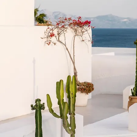 Mykonos Blu, A To Live
