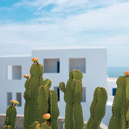 Mykonos Blu, A To Live 5*