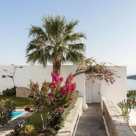 Mykonos Blu, A To Live